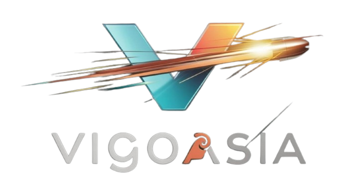 Vigo4u